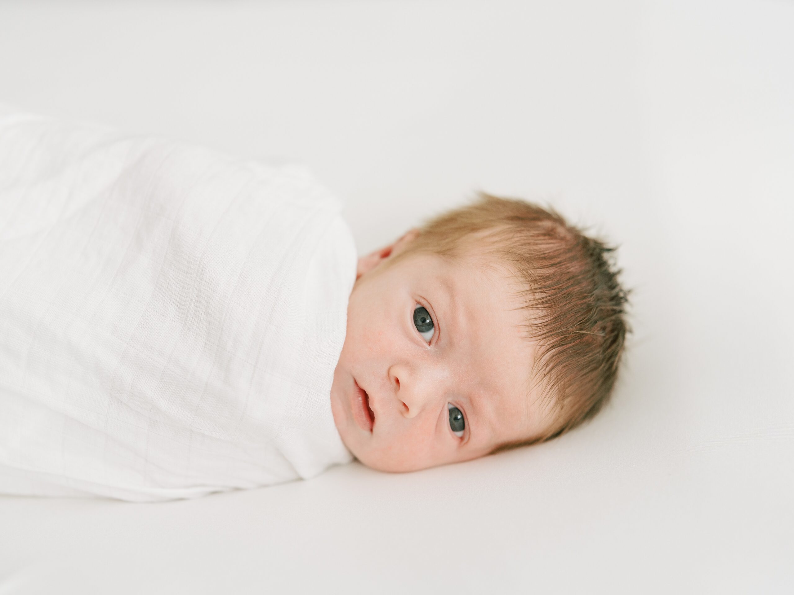 northern virginia newborn photographer
